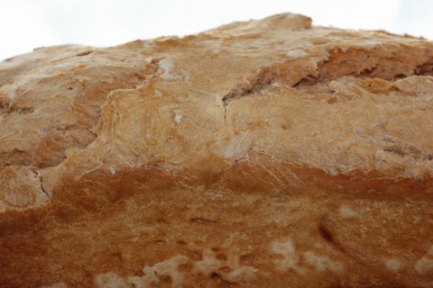Wheat bread on a board