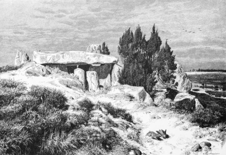 Barrow on the Lueneburg Heath, juniper, boulders, hill, Lower Saxony, Germany, historical
