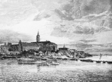 Malbork or Marienburg on the river Nogat, Pomerania, town view, castle, church, bank, Poland,