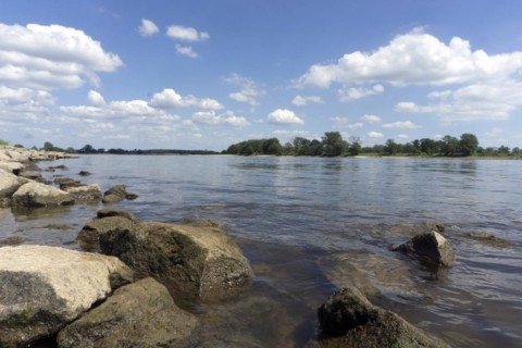 The Elbe near Wittenberge, 19/06/2017