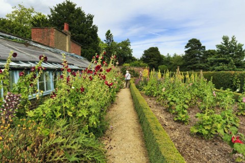 Down House Garden, garden at the home of the British naturalist Charles Darwin, Downe, Kent,