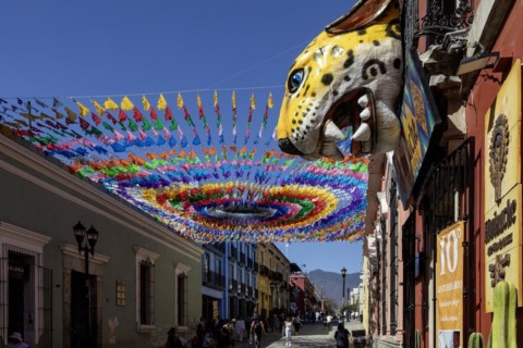 Oaxaca, Mexico, Shops along Calle Macedonio Alcala, a major street open to pedestrians only,