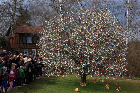 Many colourful Easter eggs on a tree, Easter custom, The Saalfeld Easter egg tree, an apple tree of