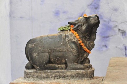 Stone statue of Nandi, the bull, adorned with a flower necklace, Varanasi, Uttar Pradesh, India,