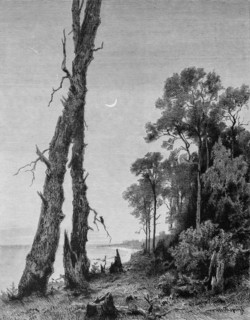 Landscape at the Baltic Sea near Zelenogradsk or Kranz, Kaliningrad Oblast, night, crescent moon,