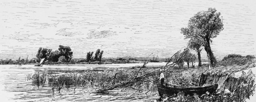 Wetlands along the Elbe, riverbank, rowing boat, quiet idyll, rural, Hanseatic city of Hamburg,