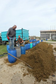 Hunter filling apple pomace into barrels as food for european roe deers (Capreolus capreolus) in