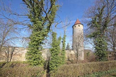 Historic owl defence tower with town wall, town fortification, defence tower, Iphofen, Lower