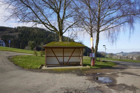 Bus bend, bus stop with bus shelter and wintry trees in Waldkirch, Emmendingen district,