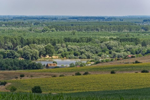 Landscape on the Saint George Branch, the southern arm of the Danube in the Danube Delta. Tulcea,
