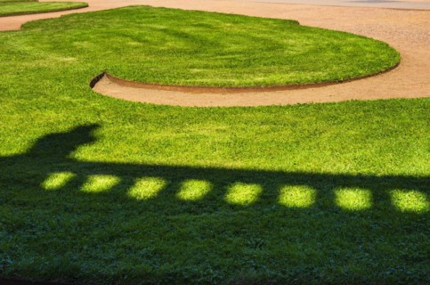Ornate detail of greenery with shadows cast by a balustrade in the inner courtyard of the Dresden