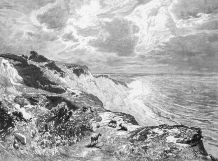 Coastal landscape on Hiddensee, island near Ruegen, Baltic Sea, steep coast, nature, waves,