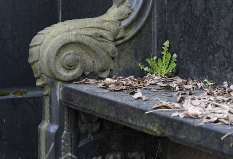 Stone bench next to an old tomb, Kirchof 1 of the Evangelische Georgen-Parochialgemeinde,