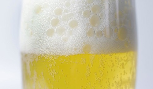 Freshly tapped beer with a head of foam in the beer glass, 07.12.2016