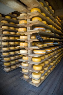 Cheese warehouse, Zuiderzee museum, Enkhuizen, Netherlands