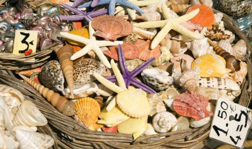 Shells star fish for sale, Rhodes, Greece, Europe