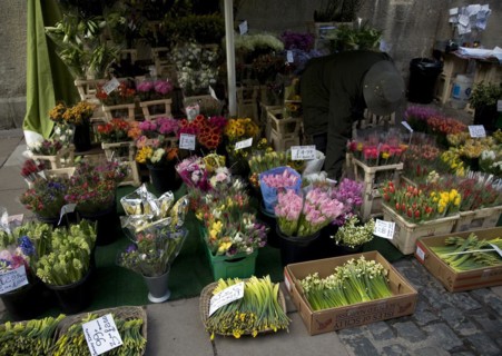 Bunches of flowers on display outside florist street stall, Bath, England, United Kingdom, Europe
