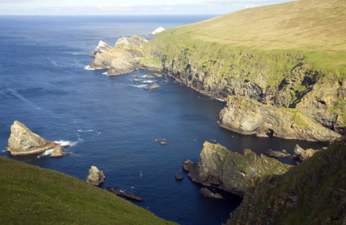 Cliffs coastal scenery, Hermaness, Unst, Shetland islands, Scotland, United Kingdom, Europe