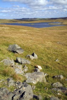 Loch of Burga Water, near Walls, Mainland, Shetland Islands, Scotland, United Kingdom, Europe