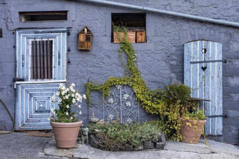 Old farmhouse, facade, decorated, flower pots, dipladenia (Mandevilla boliviensis), knotweed