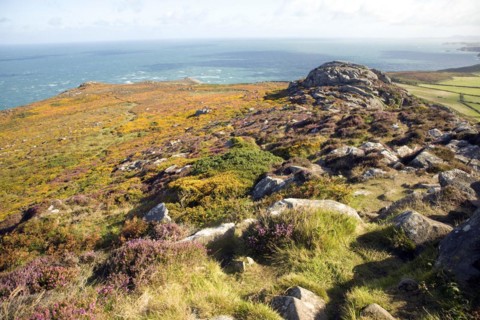 Carn Llidi tor looking north west, St David's Head, Pembrokeshire, Wales, United Kingdom, Europe
