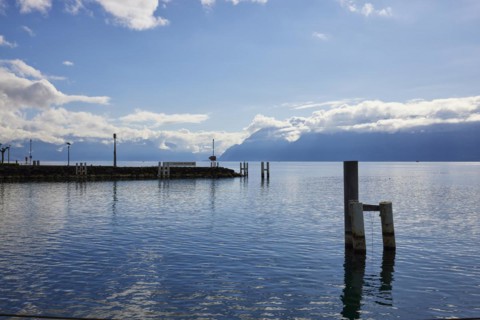 Duck dolphins in Lake Geneva with fog-covered mountains in the background with backlight in the