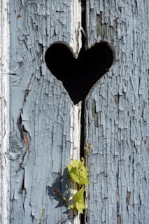 Wooden door with heart, stable door, light-coloured varnish, weathered, leaves of knotweed