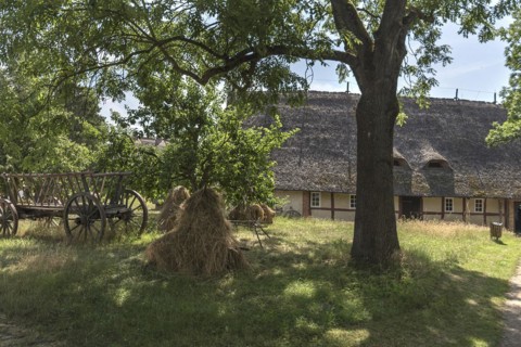 Hay wagon and sheaves of straw in the courtyard garden, behind a thatched farmhouse from the 19th