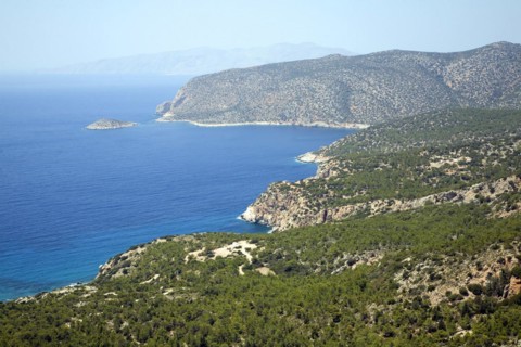 Coastal view over pine forest Kastrou Monolithos, Rhodes, Greece, Europe
