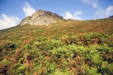 Carn Llidi tor, St David's Head, Pembrokeshire, Wales, United Kingdom, Europe