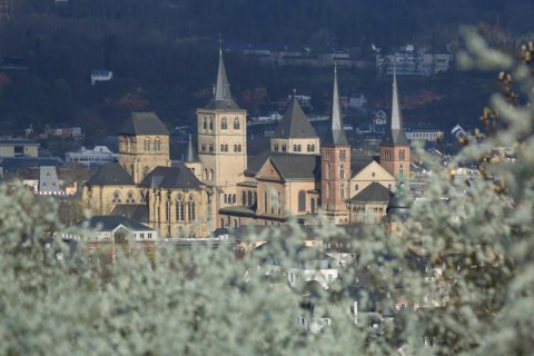 View of UNESCO St Peter's Cathedral and Church of Our Lady in spring, shrub, blossoming, light