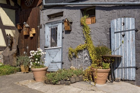 Old farmhouse, facade, decorated, flower pots, dipladenia (Mandevilla boliviensis), knotweed