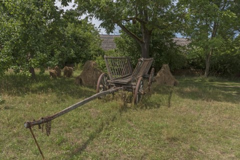 Ladder wagon around 1900 on the farm, Open-Air Museum of Folklore Schwerin-Muess,