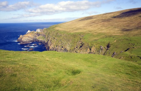 Cliffs coastal scenery, Hermaness, Unst, Shetland islands, Scotland, United Kingdom, Europe