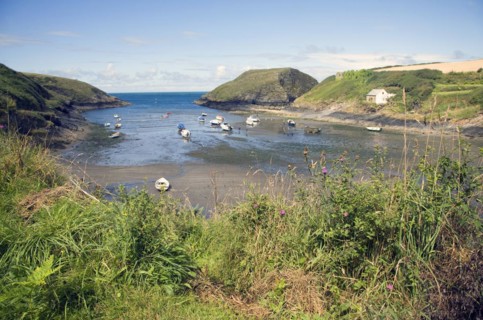 Abercastle bay, Pembrokeshire, Wales, United Kingdom, Europe