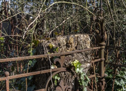 Rusty grave fences, Kirchof 1 of the Evangelische Georgen-Parochialgemeinde, Greisfswalder Strasse,
