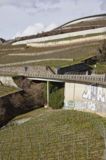 Vineyard terraces and the main road 12 towards Jongny in the Lavaux vineyard terraces UNESCO World