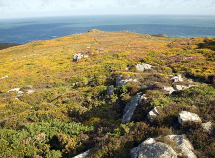 View to sea from Carn Llidi tor, St David's Head, Pembrokeshire, Wales, United Kingdom, Europe