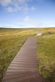 Footpath walkway, Hermaness, Unst, Shetland Islands, Scotland, United Kingdom, Europe