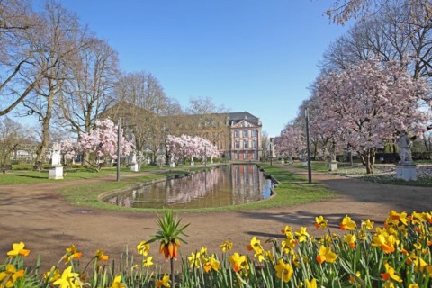 Palace garden and electoral palace with blossoming magnolia trees in spring, daffodils, flower bed,