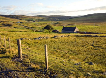 Late afternoon crofting landscape Wethersta, Mainland, Shetland Islands, Scotland, United Kingdom,
