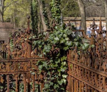 Rusty grave fences, Kirchof 1 of the Evangelische Georgen-Parochialgemeinde, Greisfswalder Strasse,