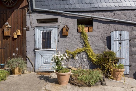 Old farmhouse, facade, decorated, flower pots, dipladenia (Mandevilla boliviensis), knotweed
