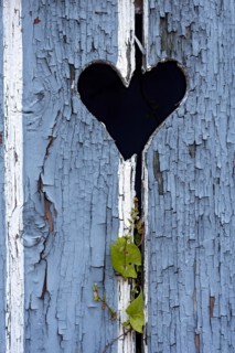 Wooden door with heart, stable door, light-coloured varnish, weathered, leaves of knotweed