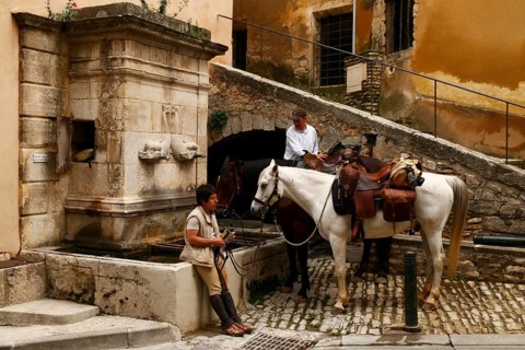 Horses in front of the dolphin fountain in Bonnieux, Luberon, Vaucluse, Provence, France, Europe