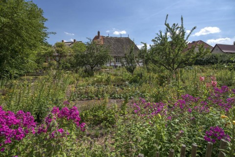 Farmer's garden with thatched farmhouse from the 19th century, in the open-air museum for folklore