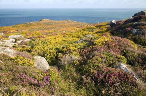 View to sea from Carn Llidi tor, St David's Head, Pembrokeshire, Wales, United Kingdom, Europe