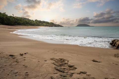 Lonely, wide sandy beach with turquoise-coloured sea. Tropical plants in a bay at sunset in the