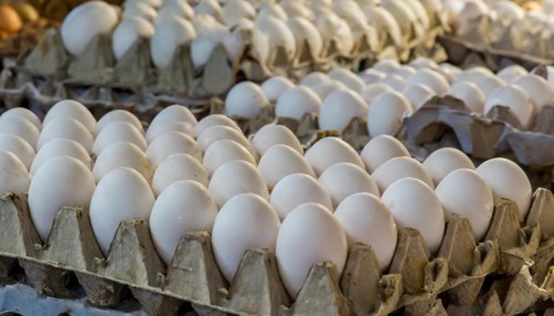 Food, fresh white hen's eggs, free range eggs, AI generated, AI generated