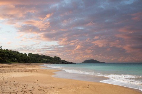 Lonely, wide sandy beach with turquoise-coloured sea. Tropical plants in a bay at sunset in the